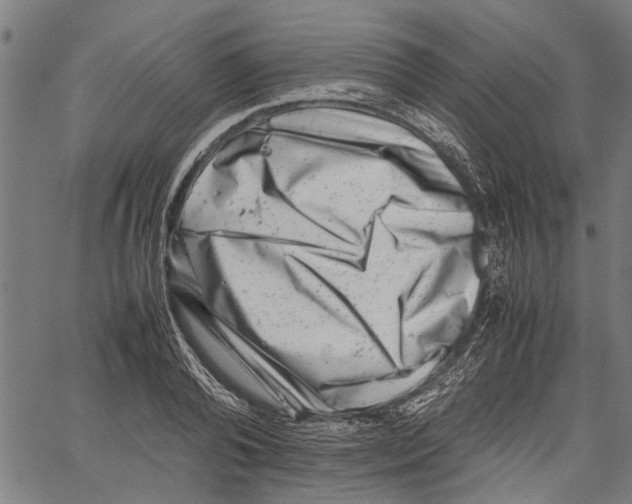 X0000062130792200601060856