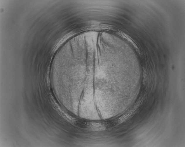 X0000062130794200601060856