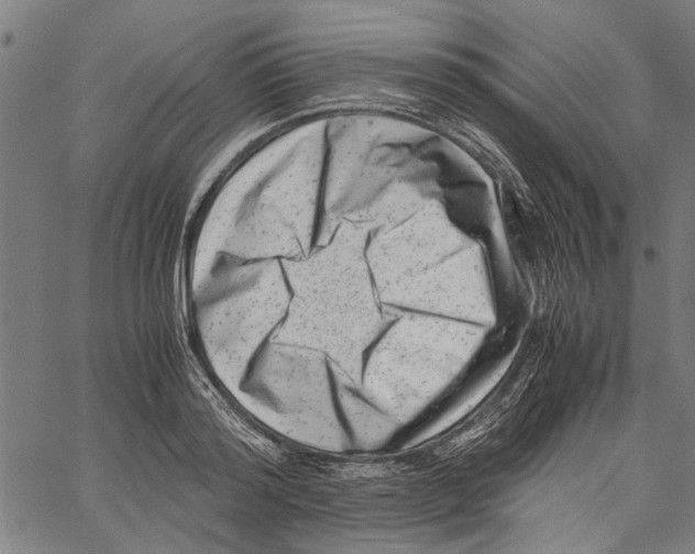 X0000062130796200601060856