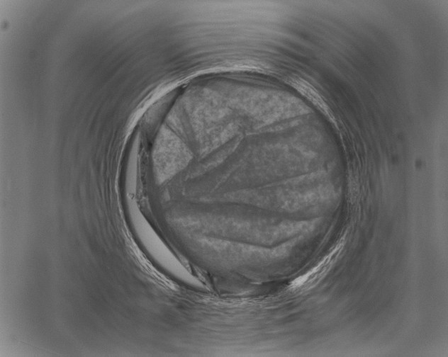 X0000062130797200601060856