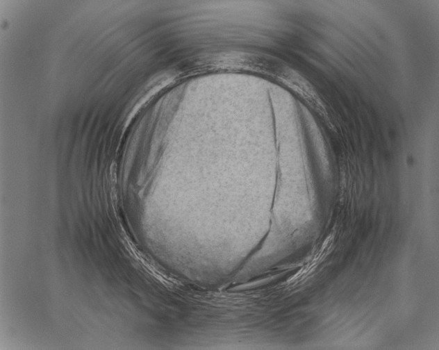 X0000062130798200601060856