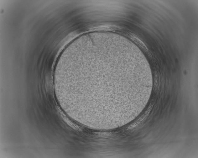 X0000062130800200601060856