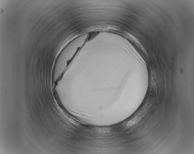 X0000062130802200601060856