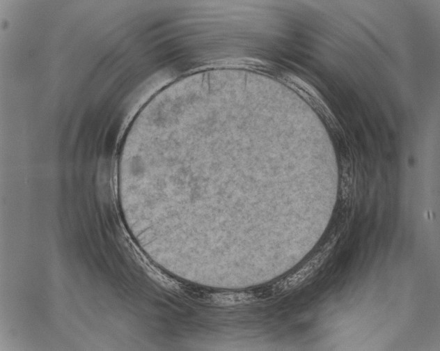 X0000062130804200601060856