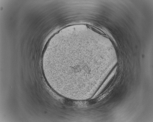 X0000062130805200601060856