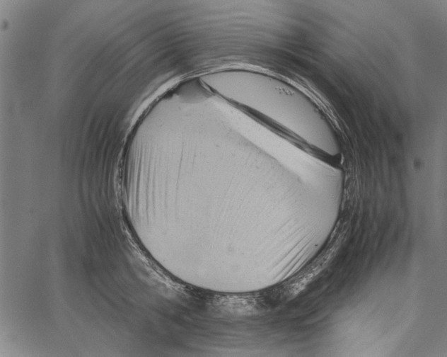 X0000062130806200601060856