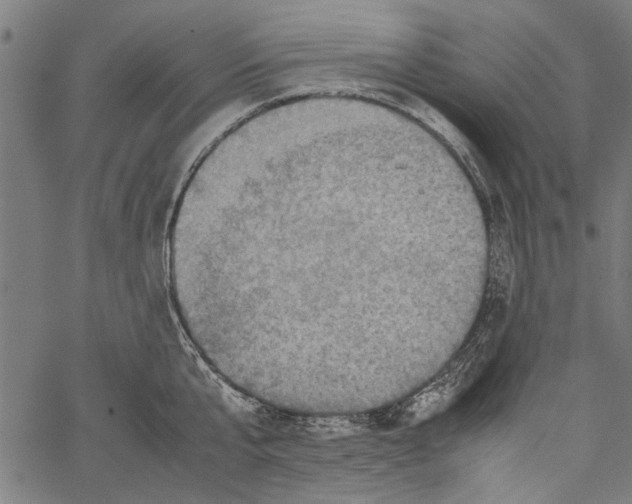 X0000062130807200601060856