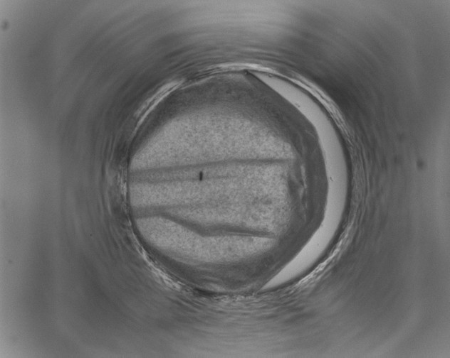 X0000062130809200601060856