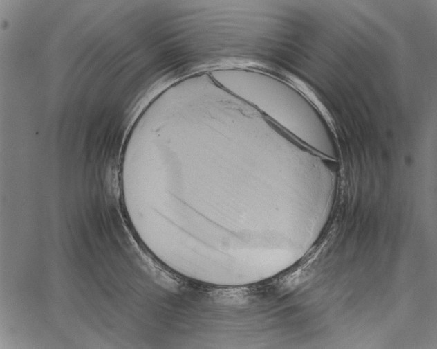 X0000062130810200601060856