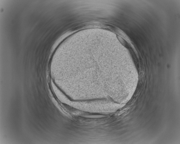 X0000062130811200601060856