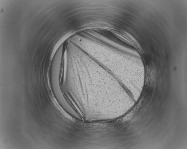 X0000062130812200601060856