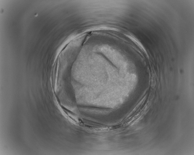 X0000062130813200601060856