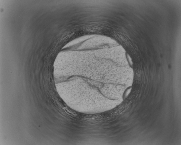 X0000062130817200601060855