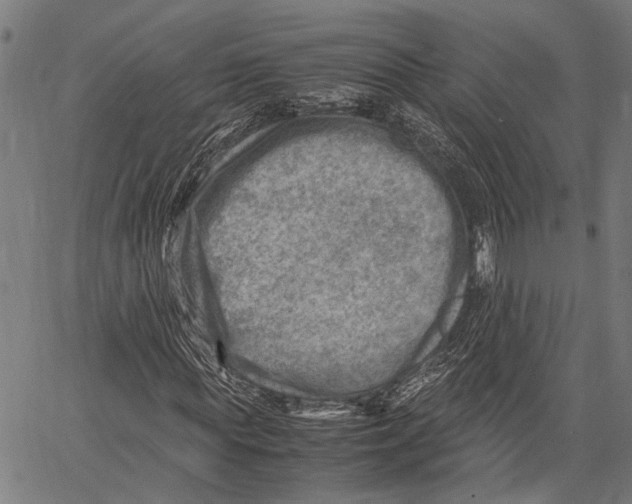 X0000062130819200601060855