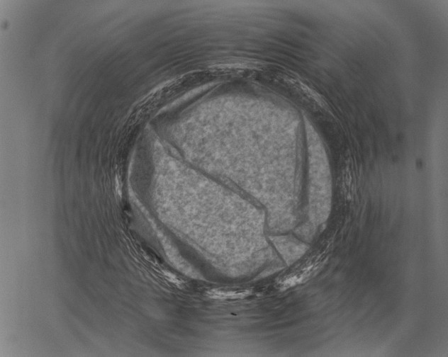 X0000062130821200601060855