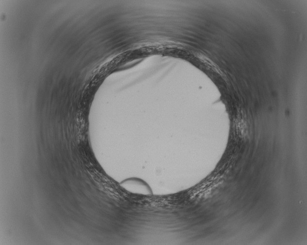 X0000062130822200601060855