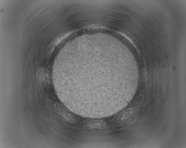 X0000062130823200601060855