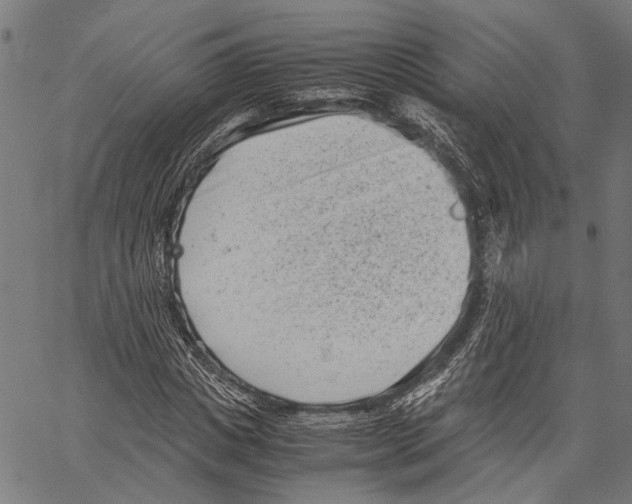 X0000062130825200601060855