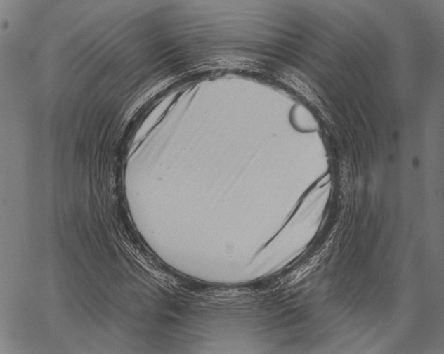 X0000062130826200601060855