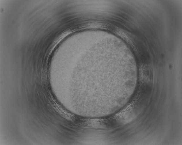 X0000062130828200601060855