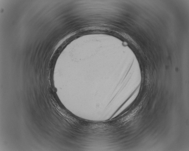 X0000062130830200601060855