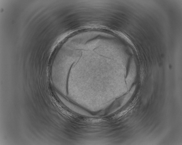 X0000062130831200601060855