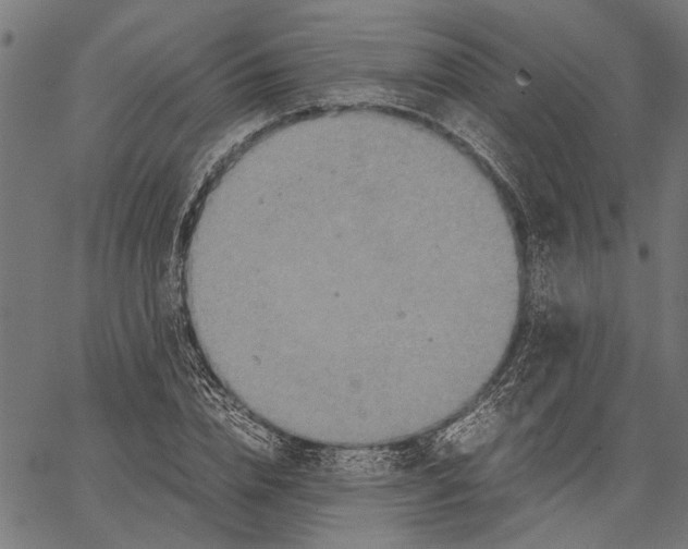 X0000062130832200601060855