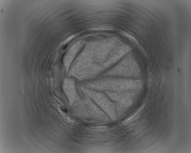 X0000062130833200601060855