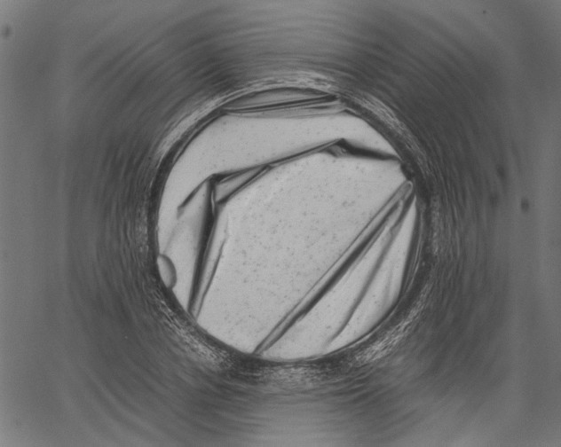 X0000062130834200601060855