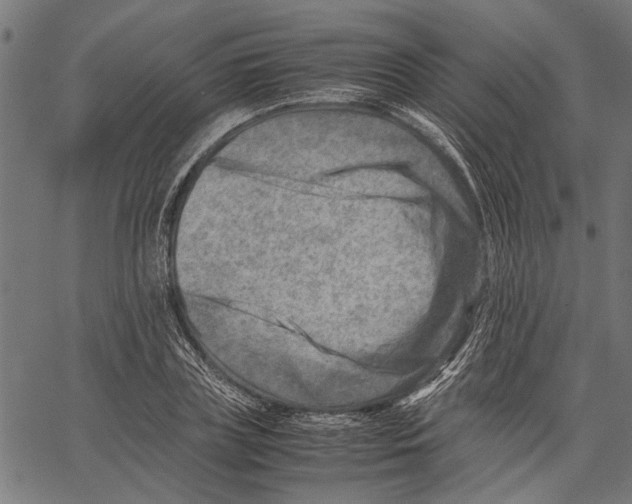 X0000062130835200601060855