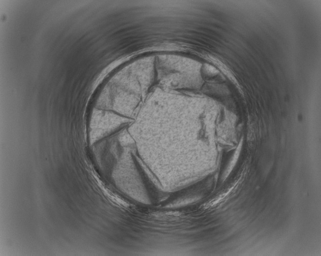 X0000062130837200601060855