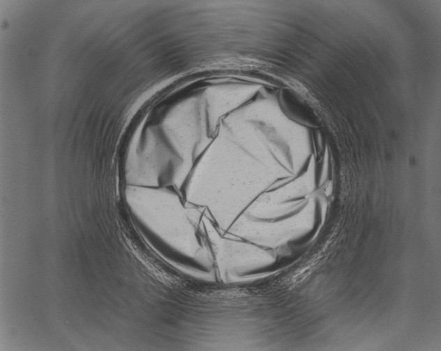 X0000062130838200601060855