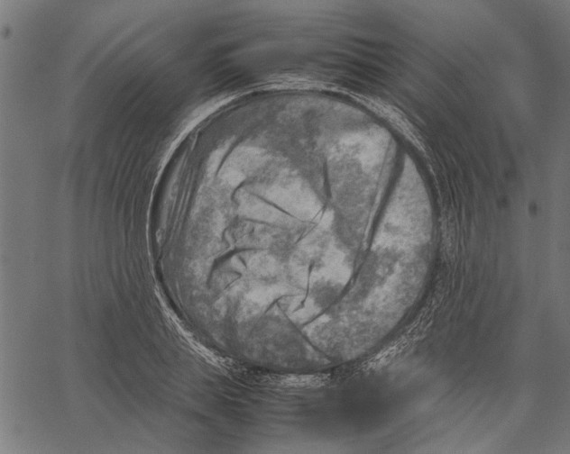 X0000062130839200601060855