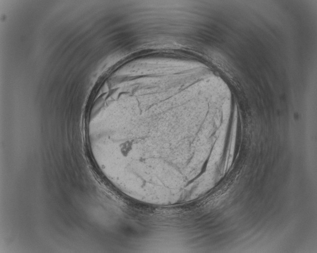 X0000062130840200601060855