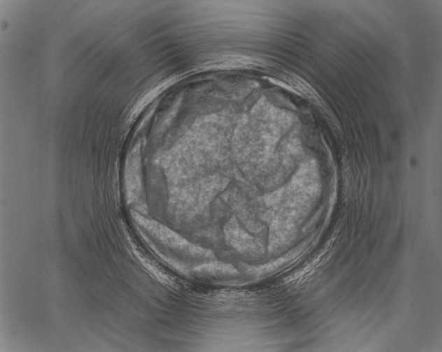 X0000062130842200601060855