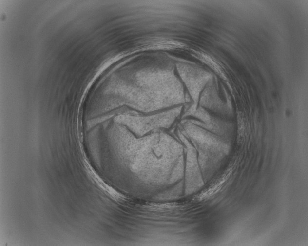 X0000062130843200601060855