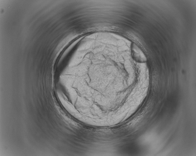 X0000062130844200601060855