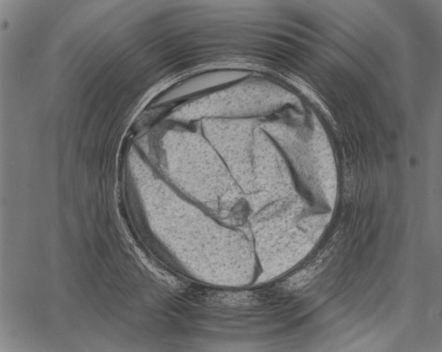 X0000062130845200601060855