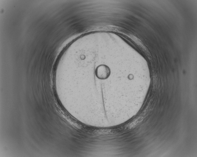 X0000062130846200601060855