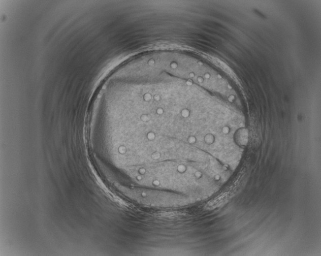 X0000062130847200601060855