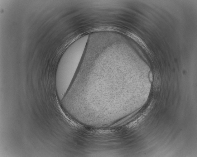 X0000062130849200601060855