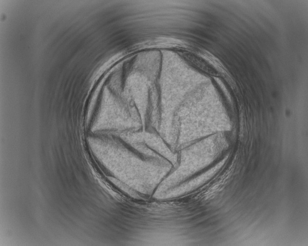 X0000062130850200601060855