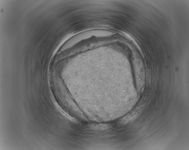 X0000062130851200601060855