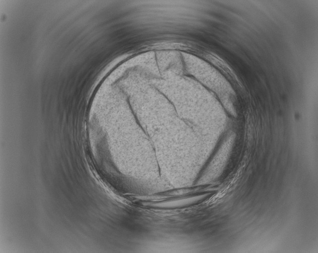 X0000062130852200601060855