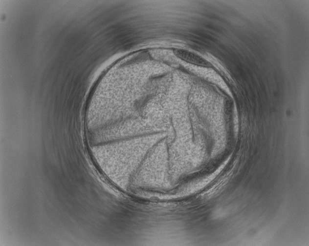 X0000062130854200601060855