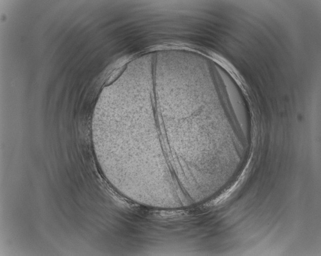 X0000062130857200601060856