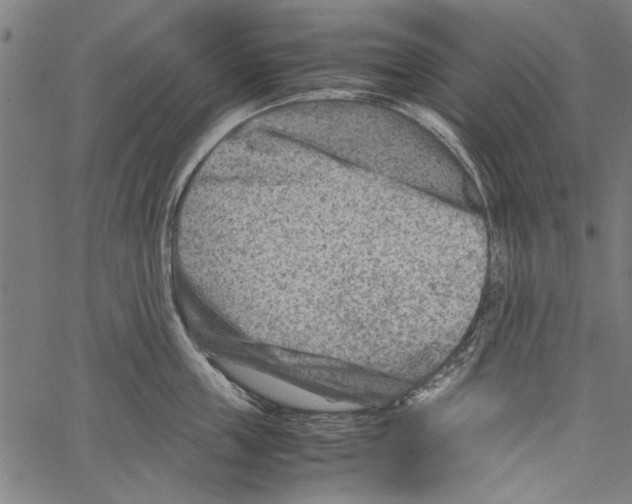 X0000062130859200601060856