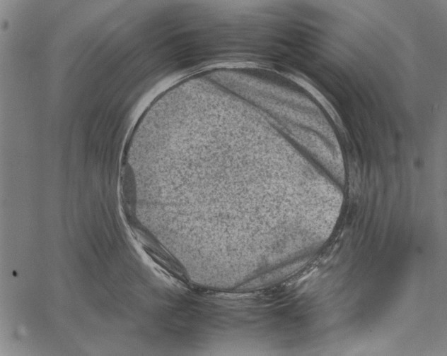 X0000062130861200601060856