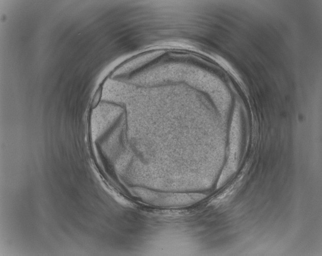 X0000062130862200601060856