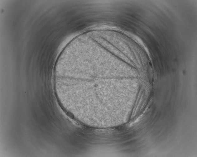 X0000062130863200601060856